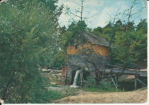 Susiec stary młyn - 027864