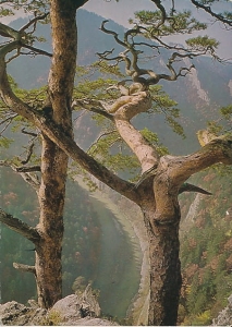 Pieniny przełom Dunajca - 027883
