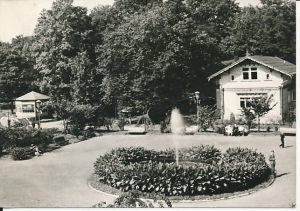Jastrzębie Zdrój park zdrojowy - 027911