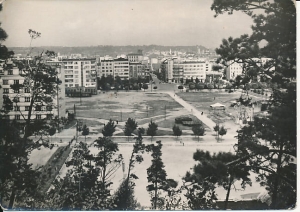 Gdynia widok z Kamiennej Góry - 028092