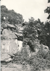 Ciężkowice rezerwat przyrody - 028204