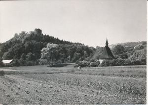 Czchów ruiny zamku - 028210