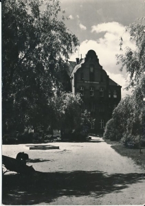 Witkowo park im. Kościuszki - 028305