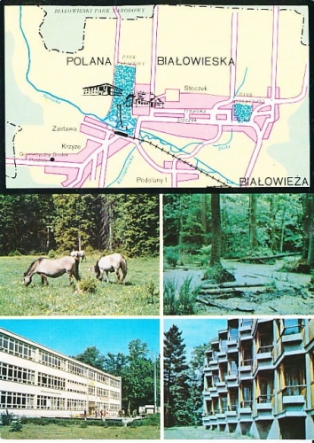IMG_0003.jpg
