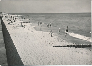 Sarbinowo Bałtyk morze plaża - 028419