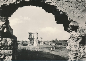 Ćmielów ruiny zamku - 028505