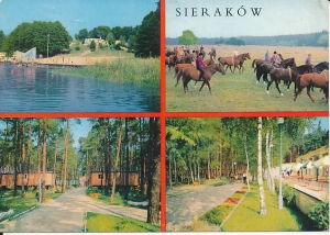 Sieraków widoki widokowa - 028569