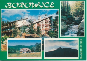Borowice widoki widokowa - 028753
