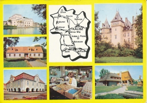 Kalisz widokowa mapka - 028805