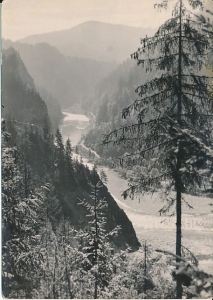 Pieniny przełom Dunajca - 028969