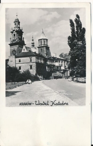 kraków Wawel katedra - 029155