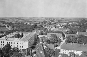 Kwidzyn - Reprodukcja 40611