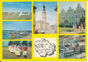 Leszno widokowa mapka - 029387