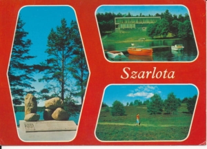 Szarlota koło Kościerzyny - 029491