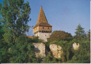 Sulejów Podklasztorze - 029497