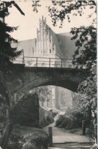 Strzegom widok na farę - 029510