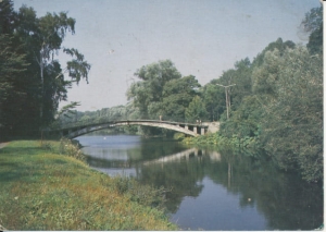 Szczecin park Kasprowicza - 029569