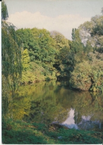 Szczecin park Kasprowicza - 029570