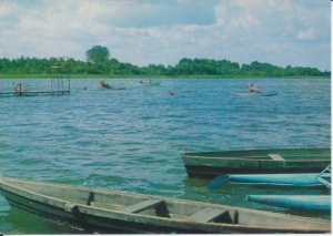 Wilczyn jezioro wilczyńskie - 029610