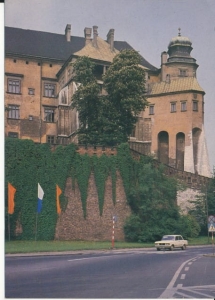 Kraków Wawel zamek - 029624