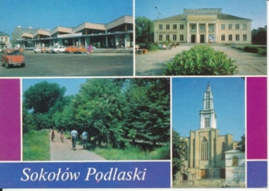 Sokołów Podlaski widokowa - 029661