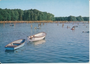 Skorzęcin ośrodek wypoczynkowy - 029863