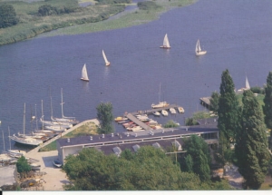 Szczecin jezioro Dąbie - 029919