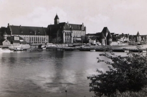 Malbork Zamek panorama - Reprodukcja 4316