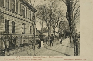Stanisławów ul. Romanowskiego -Reprodukcja 4677