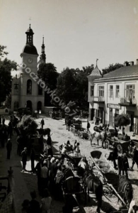 Stopnica -Reprodukcja 2299