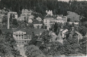Krynica  01966