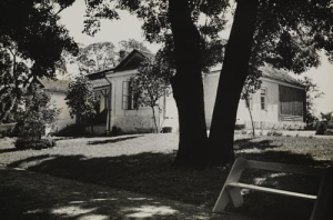 Radzanów dwór Patkowej - Reprodukcja 3910