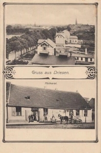 Drezdenko - Reprodukcja 40856