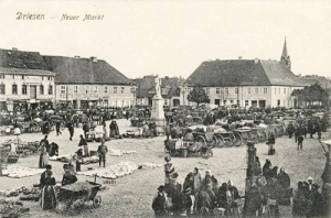 Drezdenko - Reprodukcja 40864