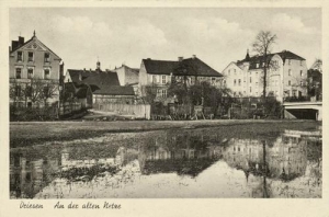 Drezdenko - Reprodukcja 40896