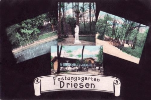 Drezdenko - Reprodukcja 40938
