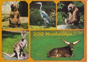 Wrocław ogród zoologiczny - 029953