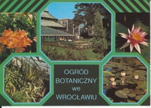 Wrocław Ogród Botaniczny - 030009