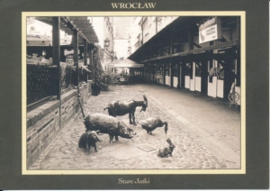 Wrocław Stare Jatki - 030043