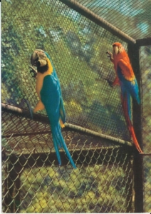 Wrocław Ogród zoologiczny - 030070