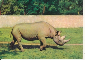 Wrocław Ogród zoologiczny - 030144