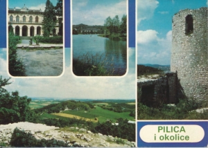 Pilica widoki widokowa  - 030459