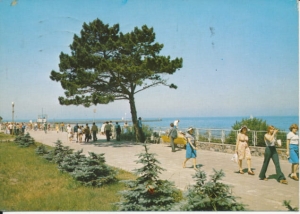 Ustka port rybacki - 030463