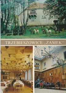 Trzebieszowice Zamek widokowa - 030497