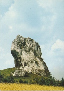 Jura Krakowsko Częstochowska - 030516