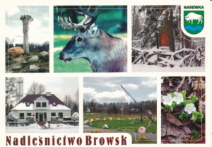 Narewka widoki widokowa - 030557