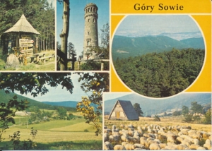 Góry Sowie widokowa - 030623