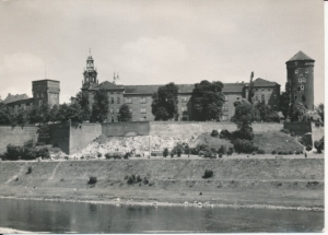 Kraków Wawel - 030715