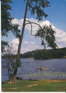 Olejnica jezioro Przemęckie - 030810