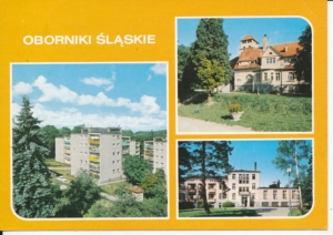 Oborniki Śląskie widokowa - 030861